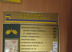 Великодолинське лісове господарство